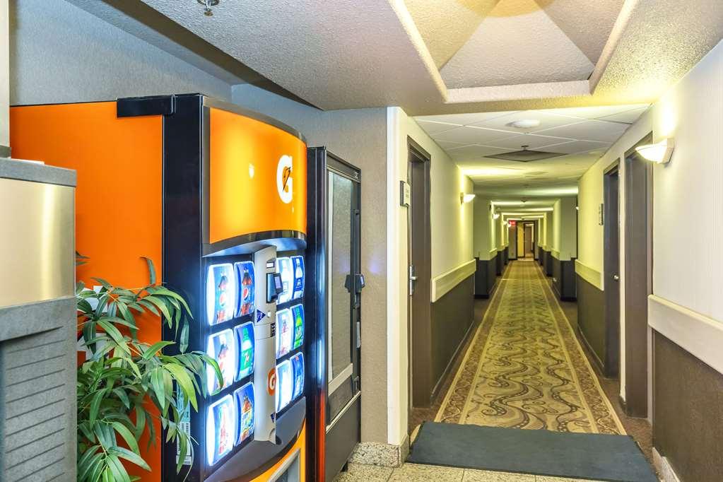 Quality Inn & Suites Йорктън Съоръжения снимка